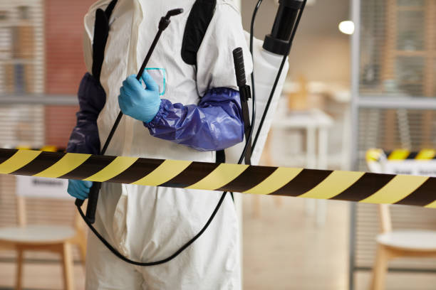 Professional Hoarding Cleanup technician working in Monroeville, IN